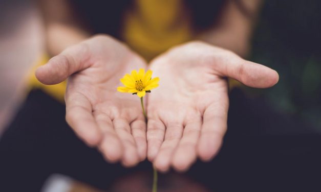 بررسی ويژگی‌های ياران امام‌زمان (عجل الله فرجه) از منظر قرآن
