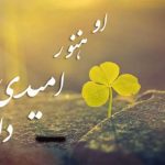از یاس تا امید
